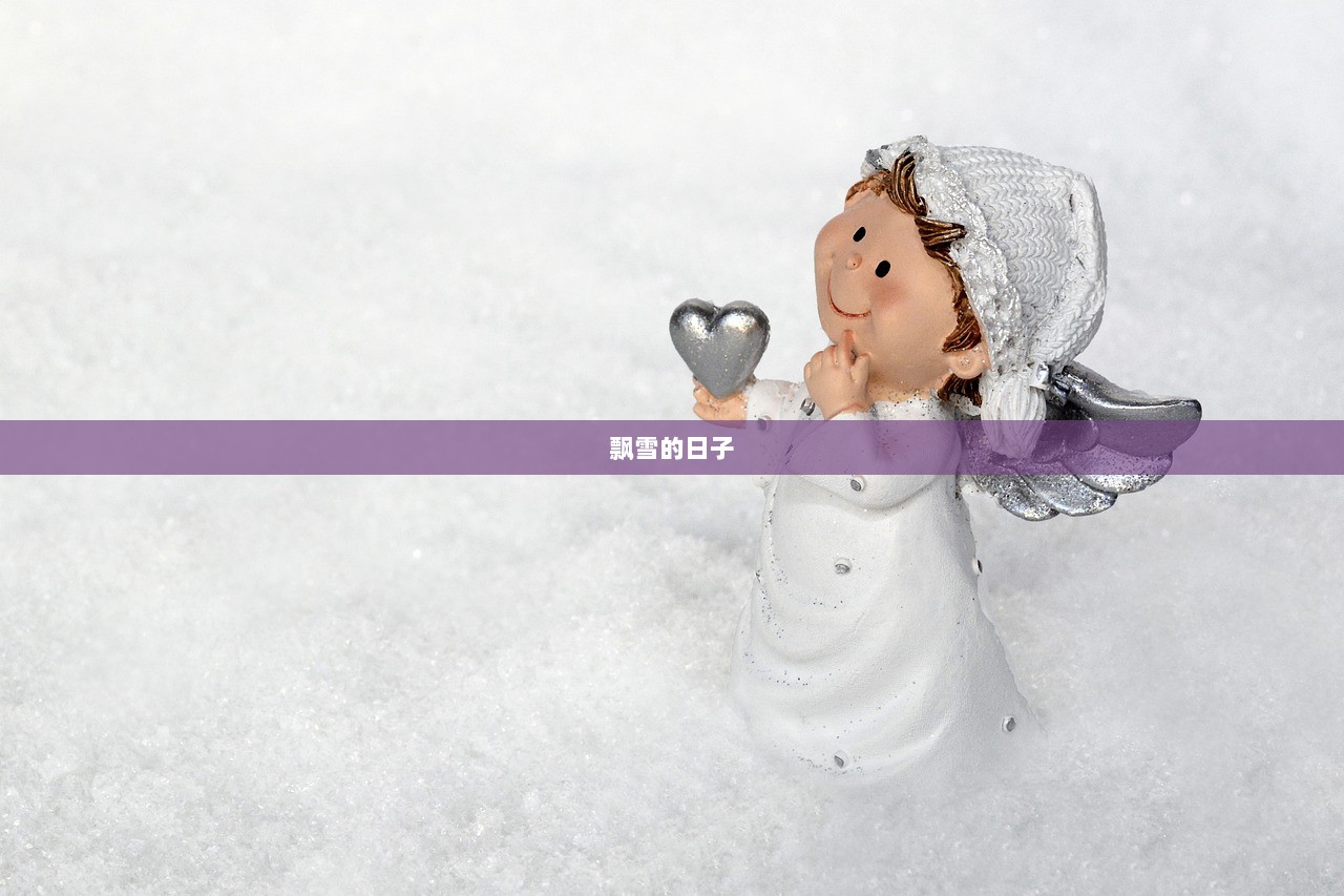 飘雪的日子  第1张