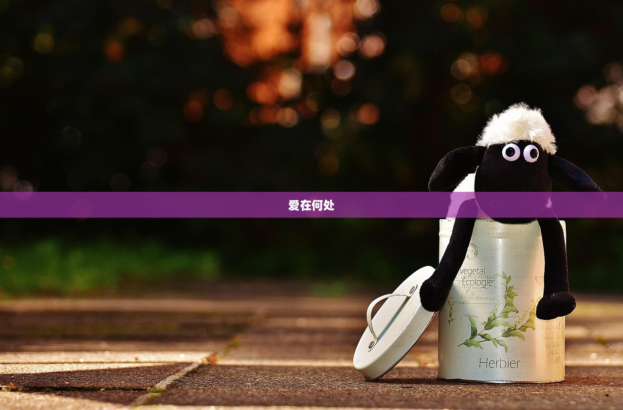 爱在何处