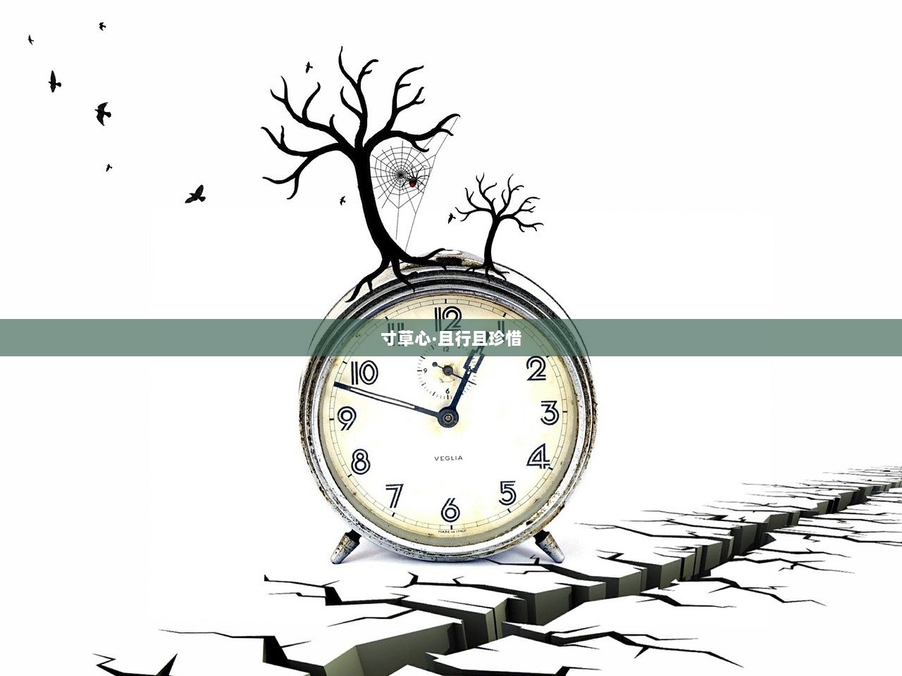 寸草心·且行且珍惜