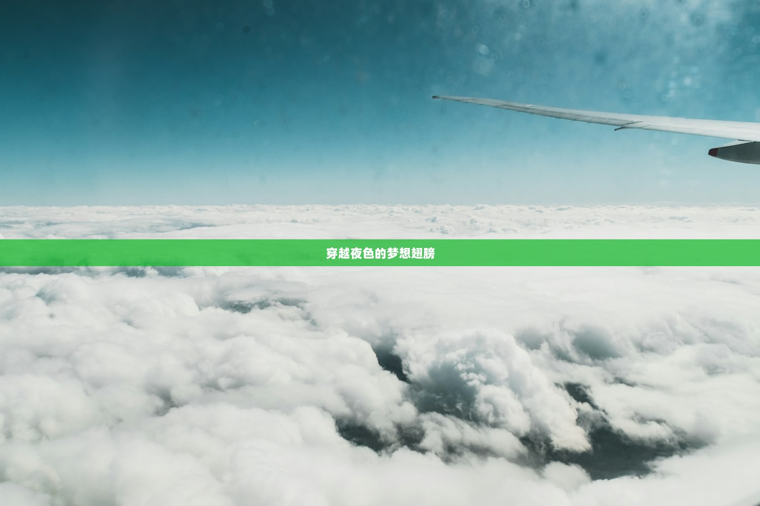 穿越夜色的梦想翅膀