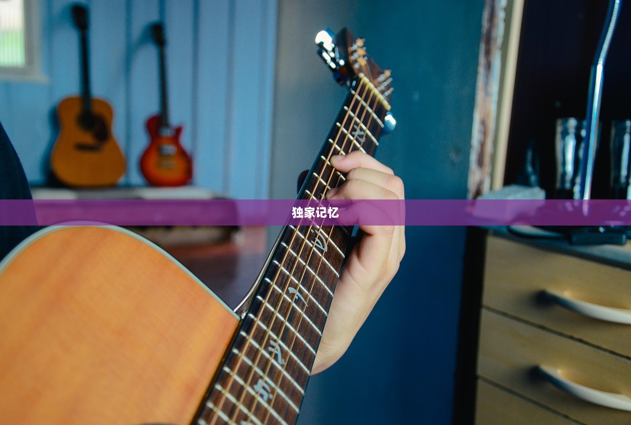 独家记忆  第1张