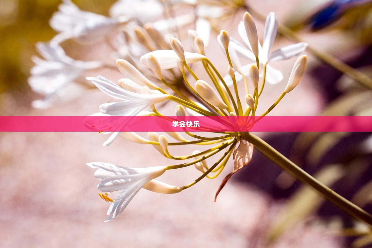 学会快乐  第1张