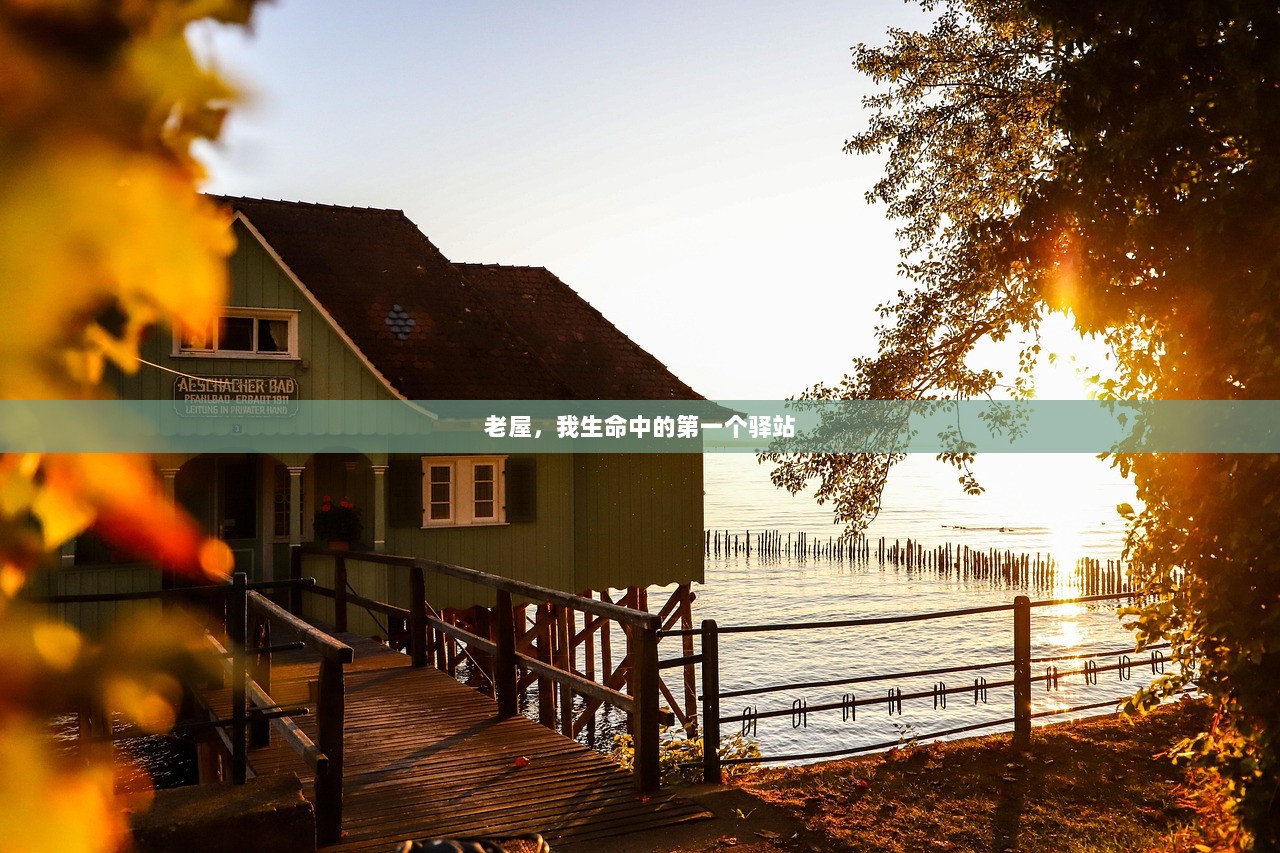 老屋，我生命中的第一个驿站
