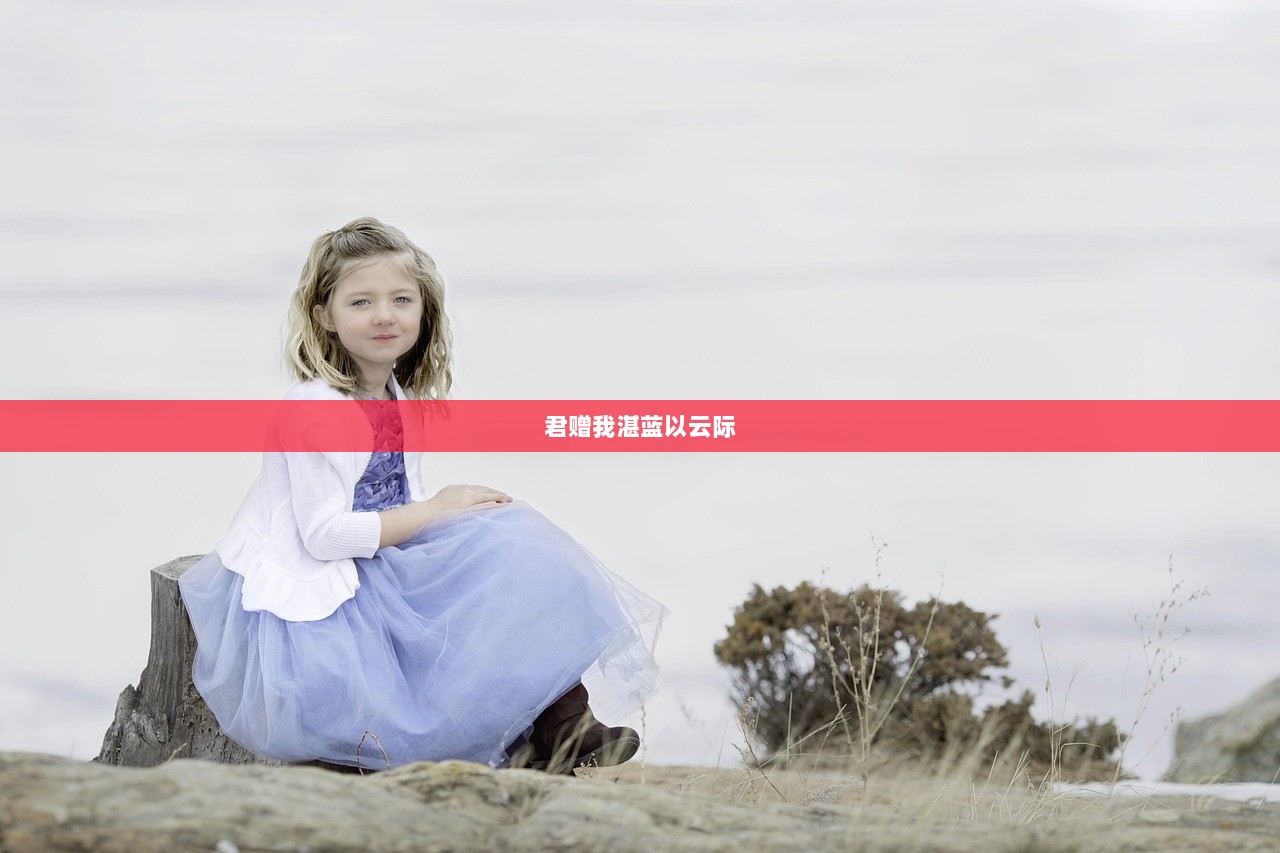 君赠我湛蓝以云际  第1张