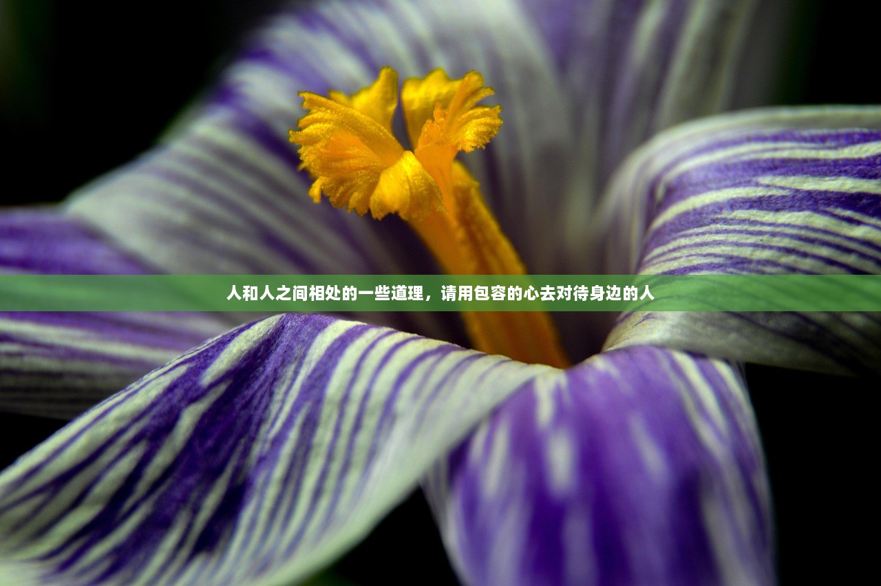 人和人之间相处的一些道理，请用包容的心去对待身边的人  第1张