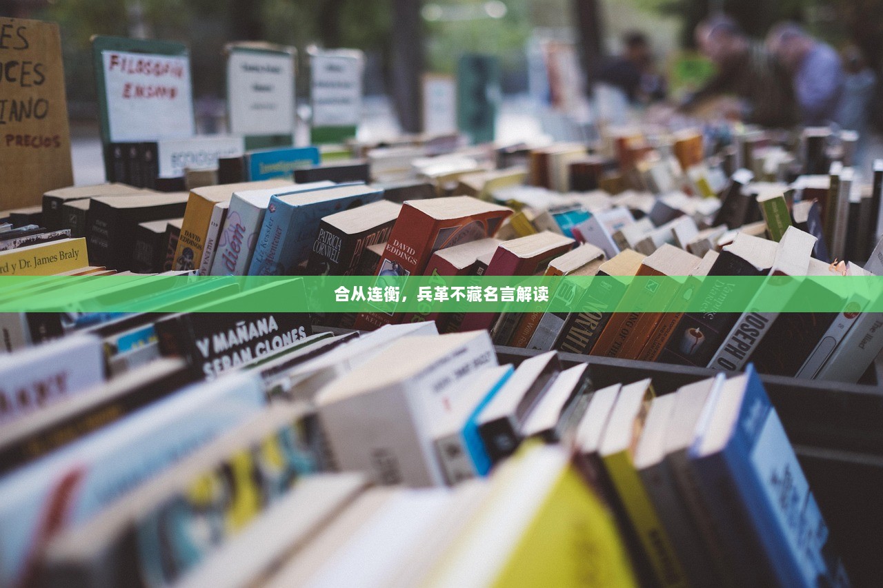 合从连衡，兵革不藏名言解读  第1张