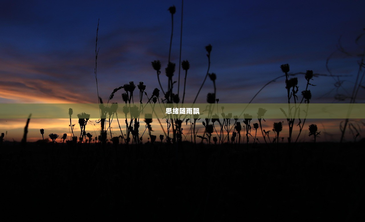 思绪随雨飘