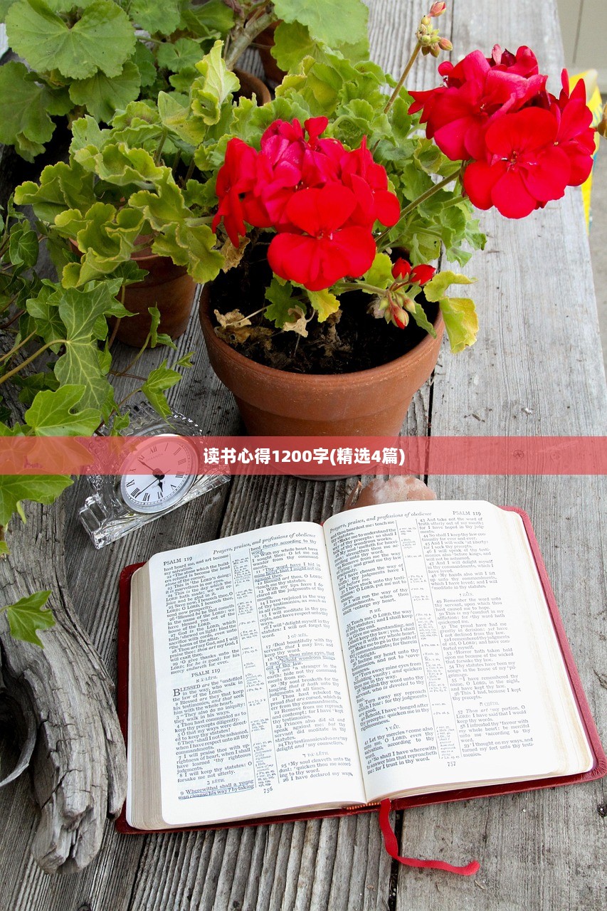 读书心得1200字(精选4篇)