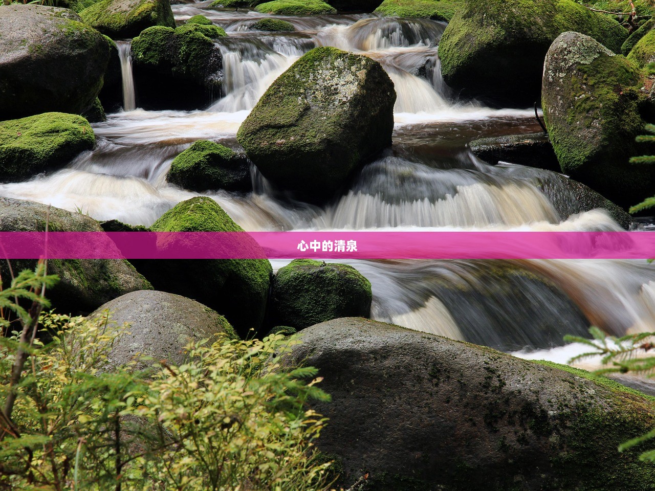 心中的清泉