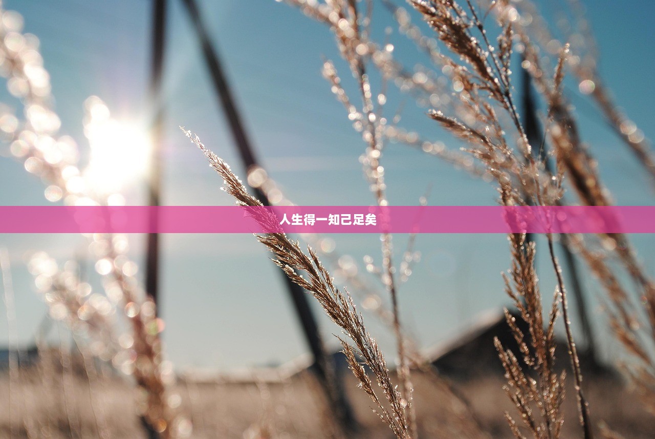 人生得一知己足矣