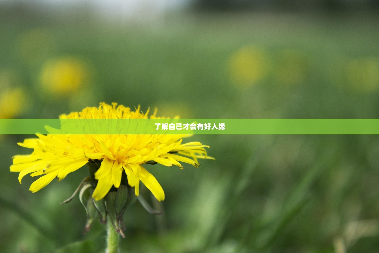 了解自己才会有好人缘