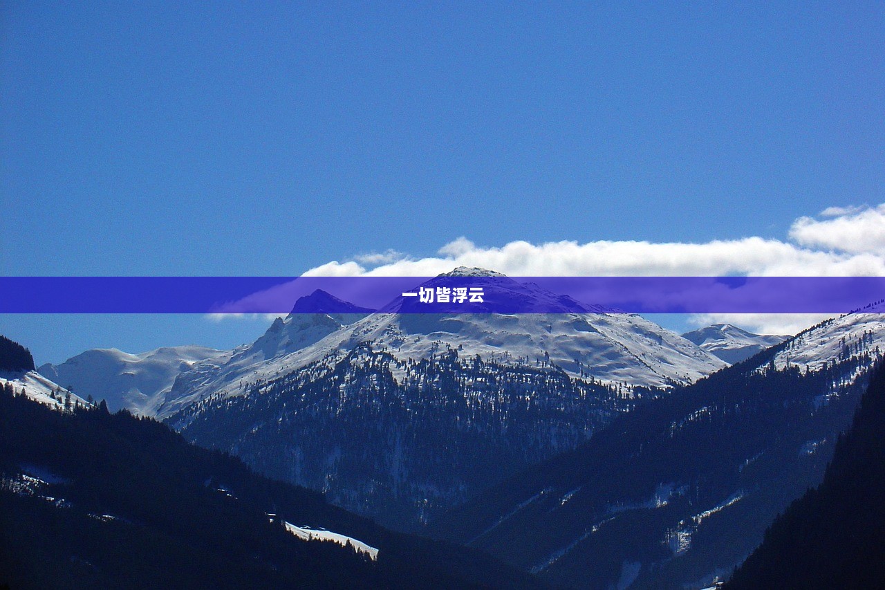 一切皆浮云  第1张