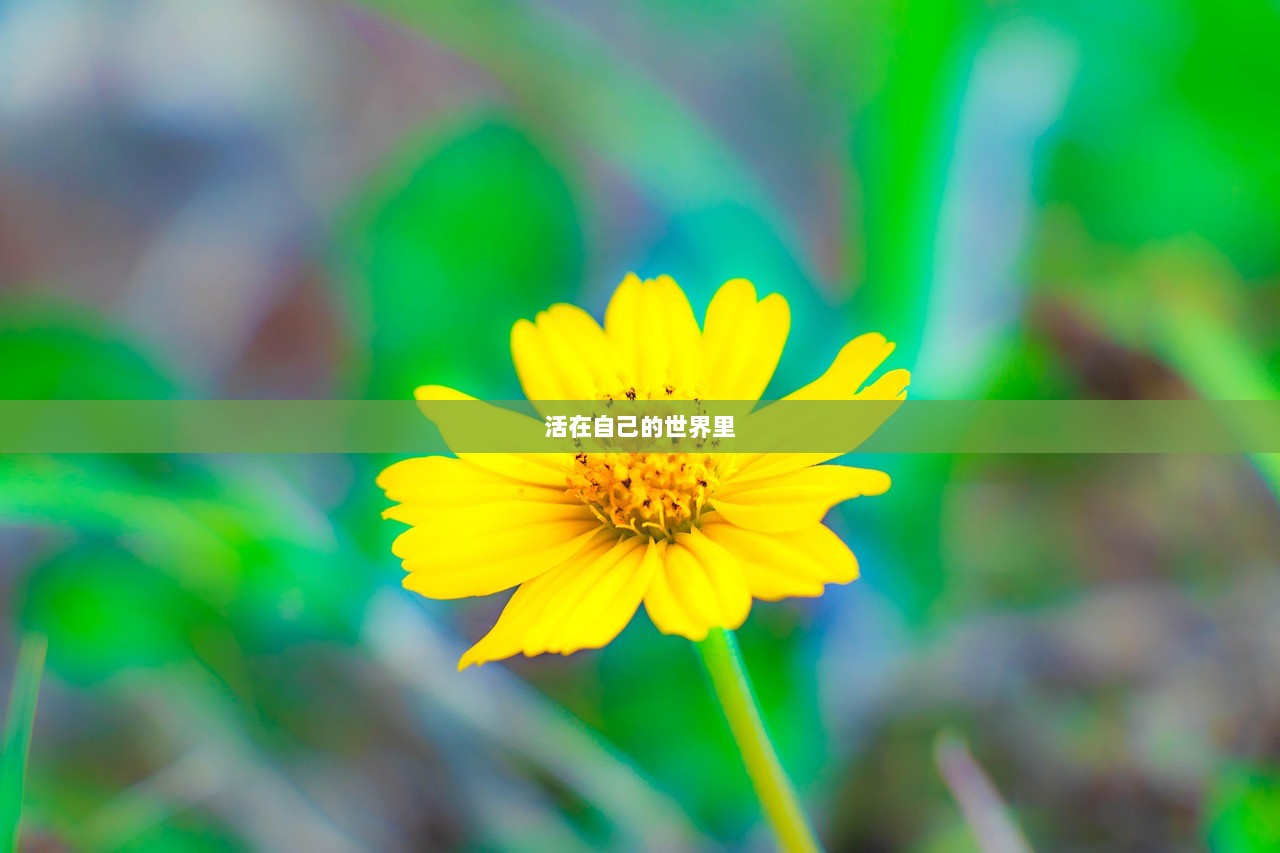 活在自己的世界里