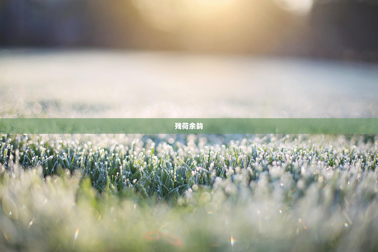 残荷余韵  第1张