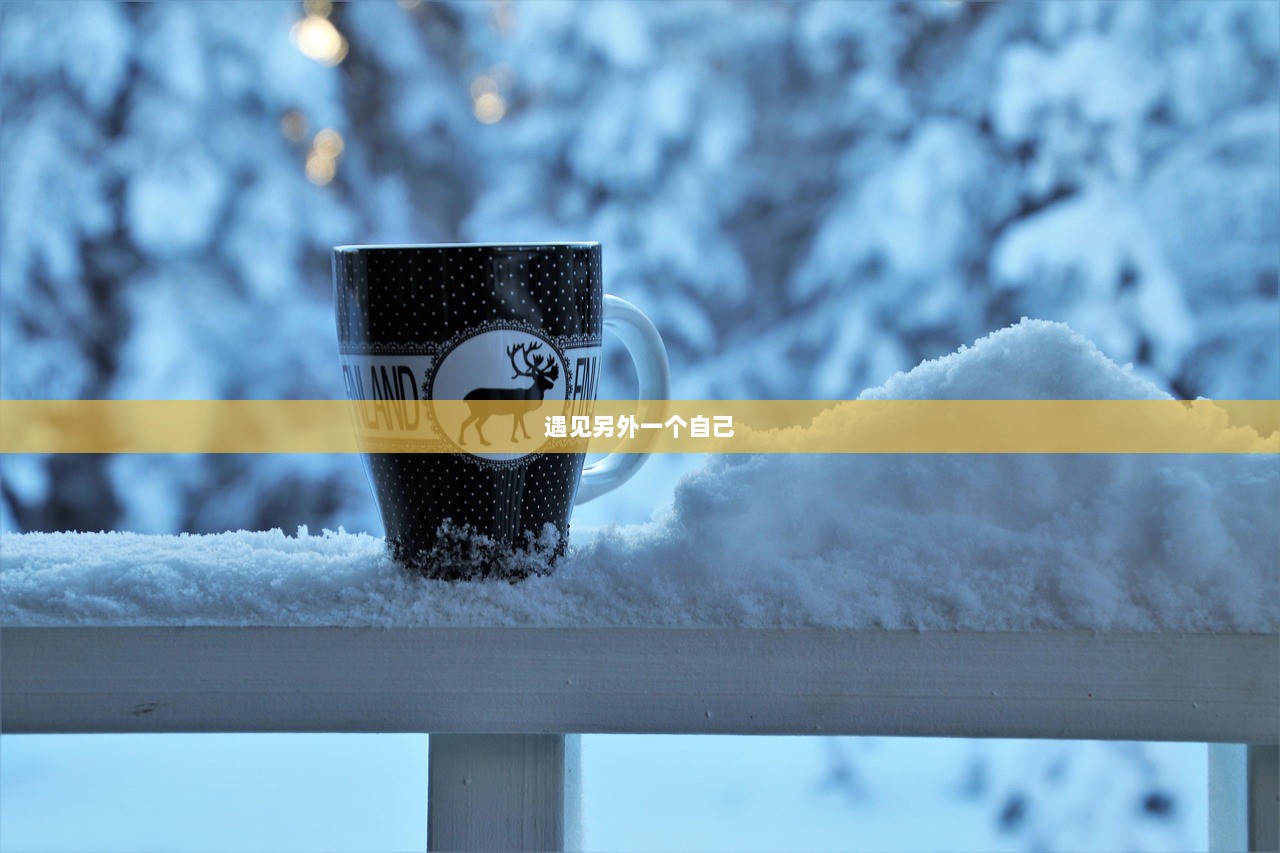 遇见另外一个自己