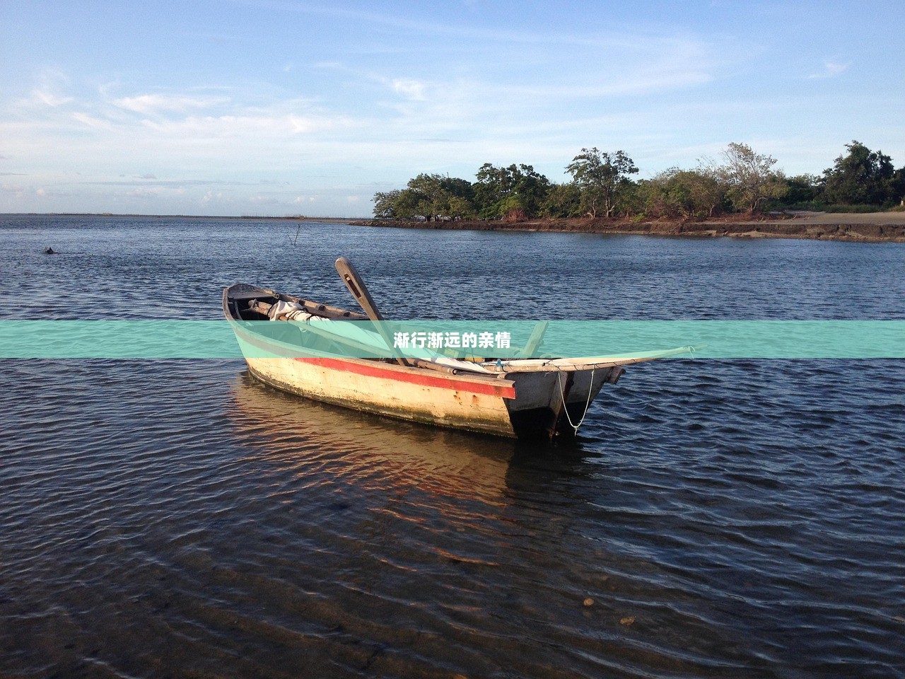 渐行渐远的亲情  第1张