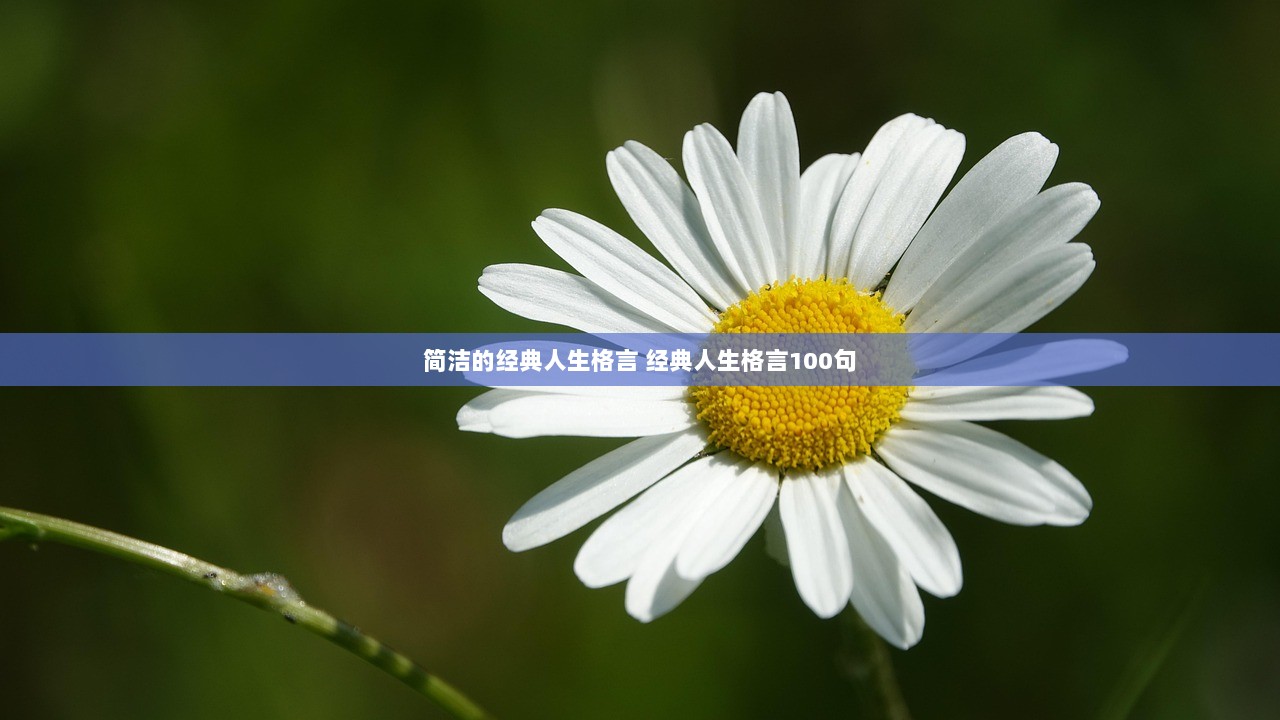 简洁的经典人生格言 经典人生格言100句
