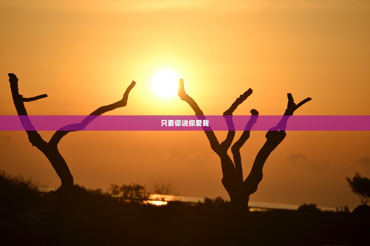 只要你说你爱我