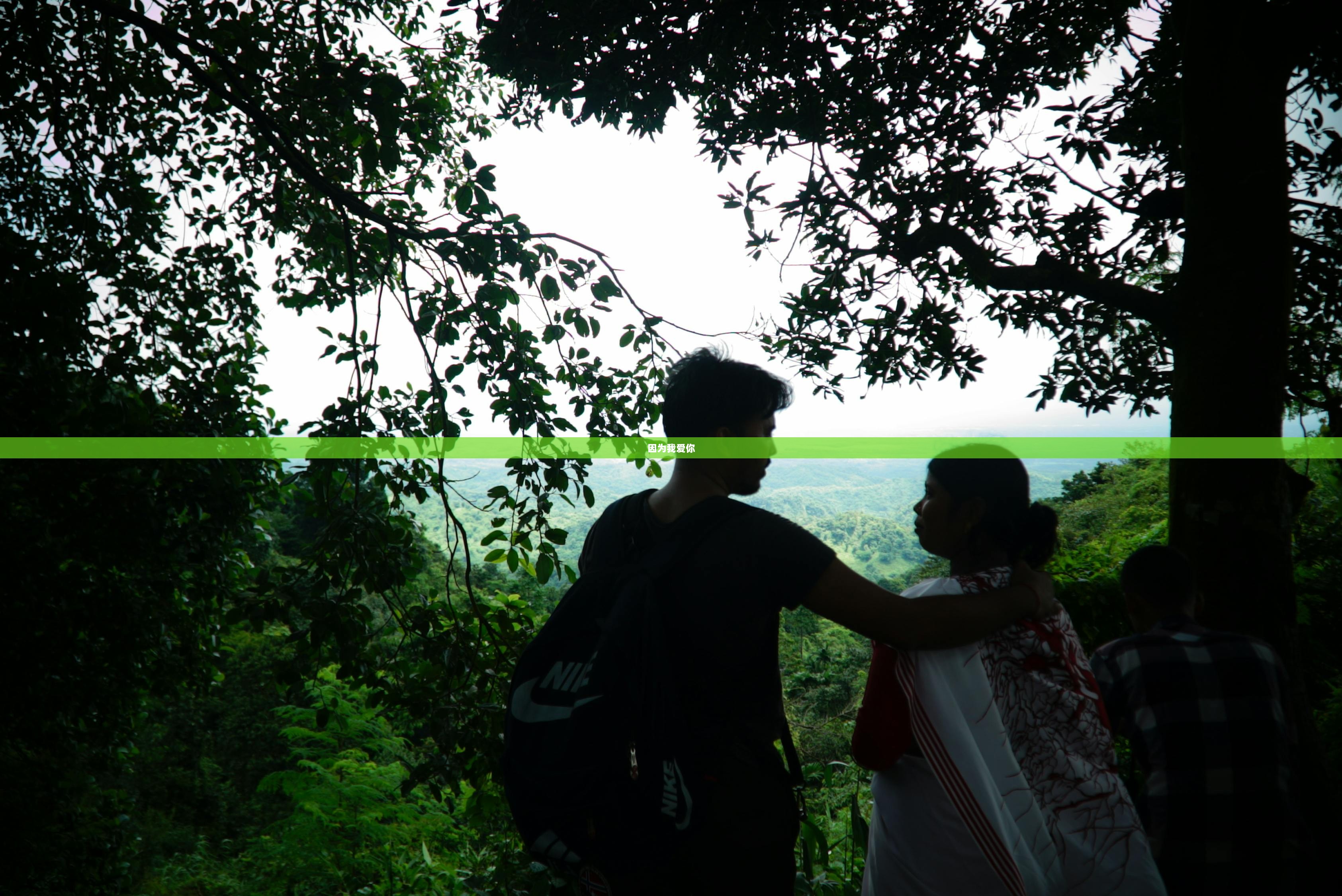 因为我爱你  第1张