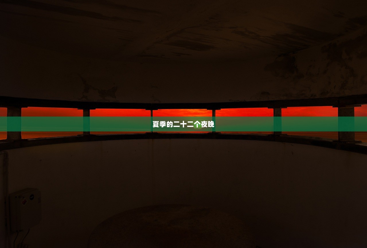 夏季的二十二个夜晚