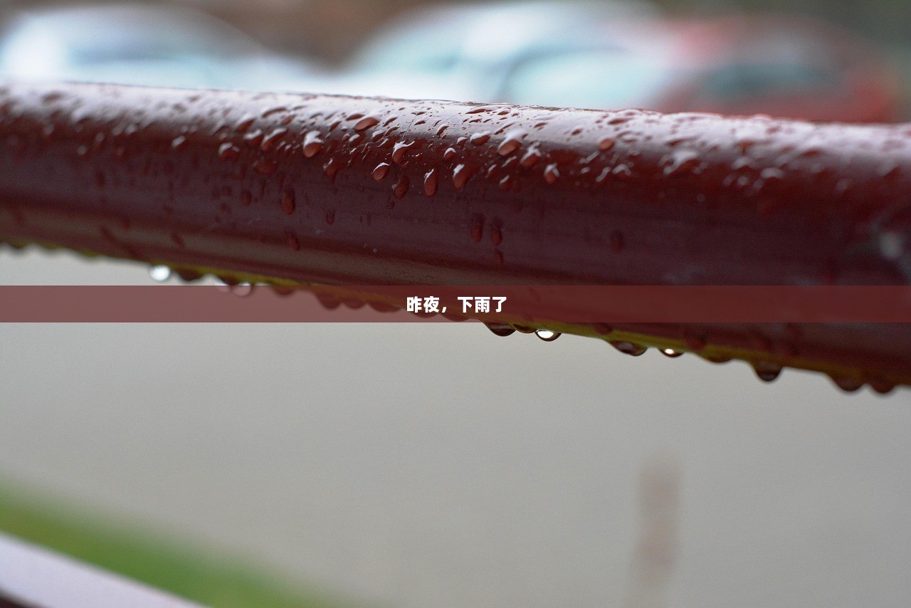 昨夜，下雨了