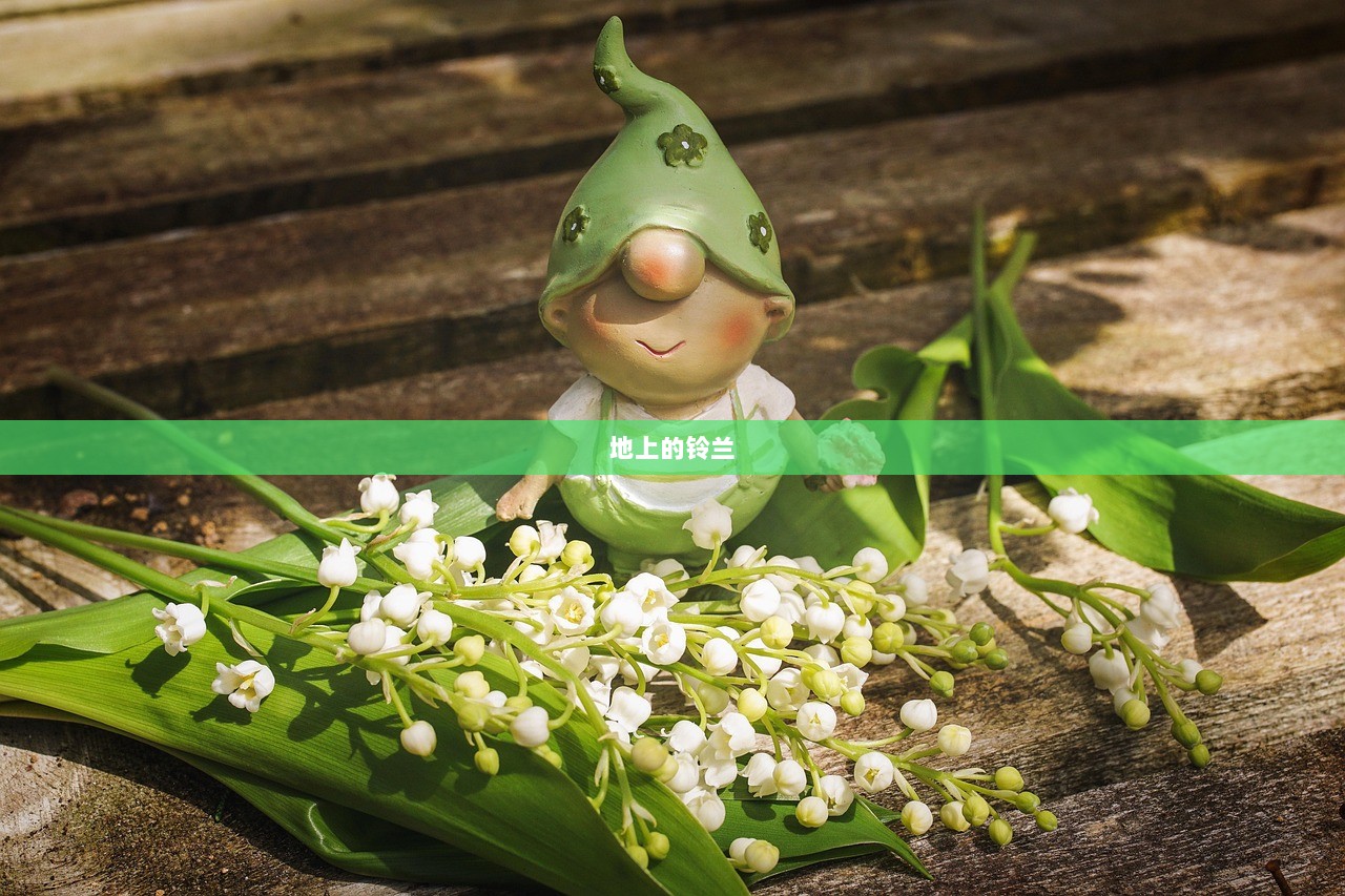 地上的铃兰