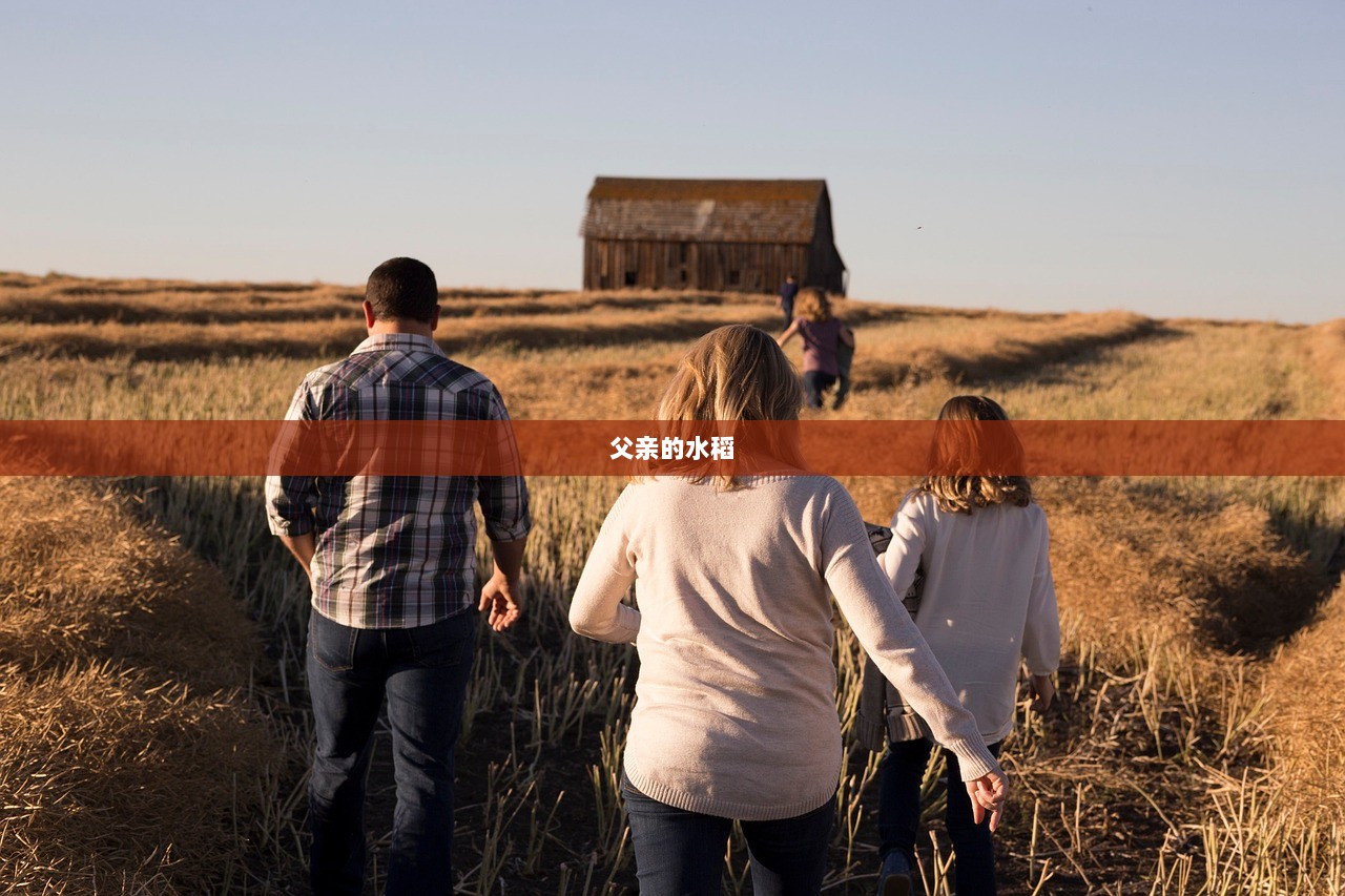 父亲的水稻