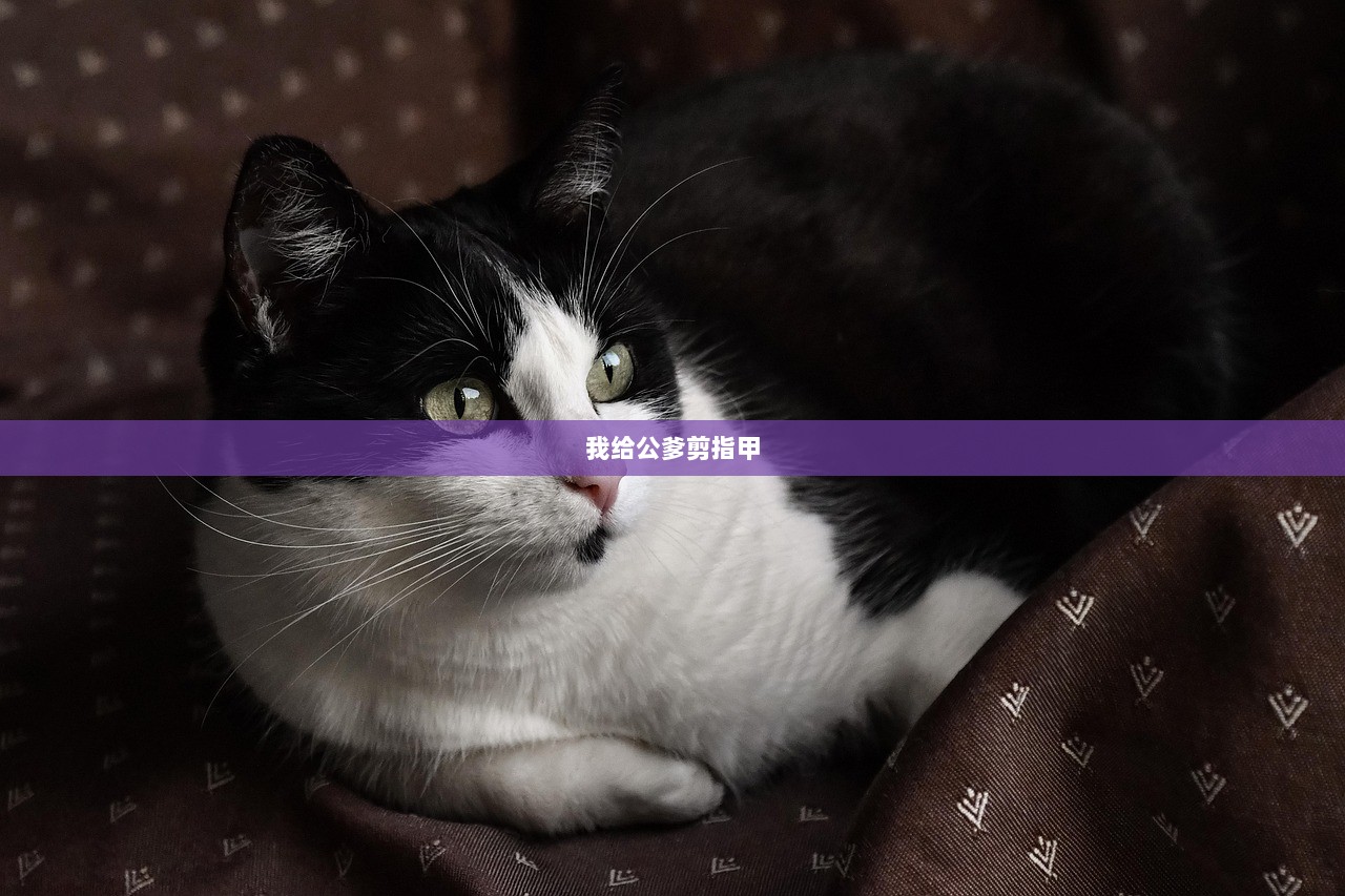 我给公爹剪指甲  第1张