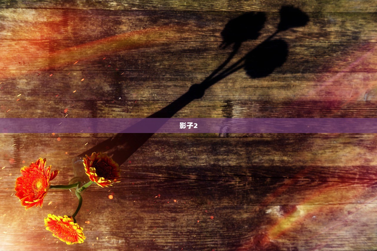 影子2