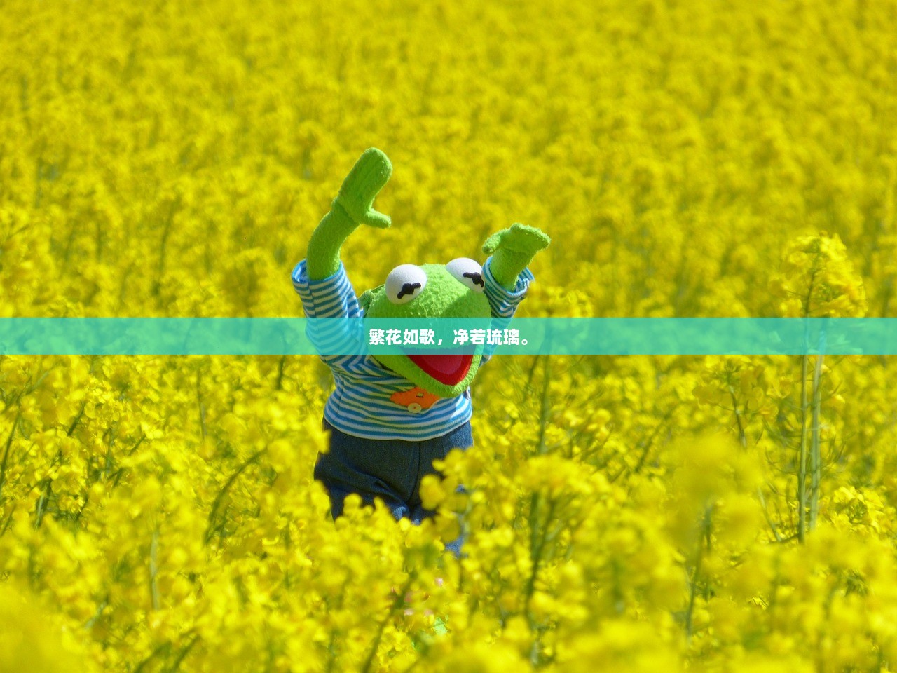 繁花如歌，净若琉璃。