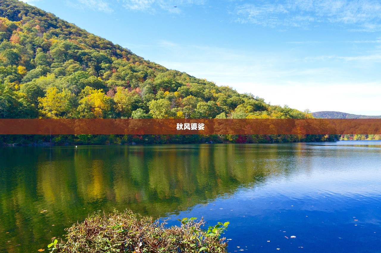 秋风婆娑