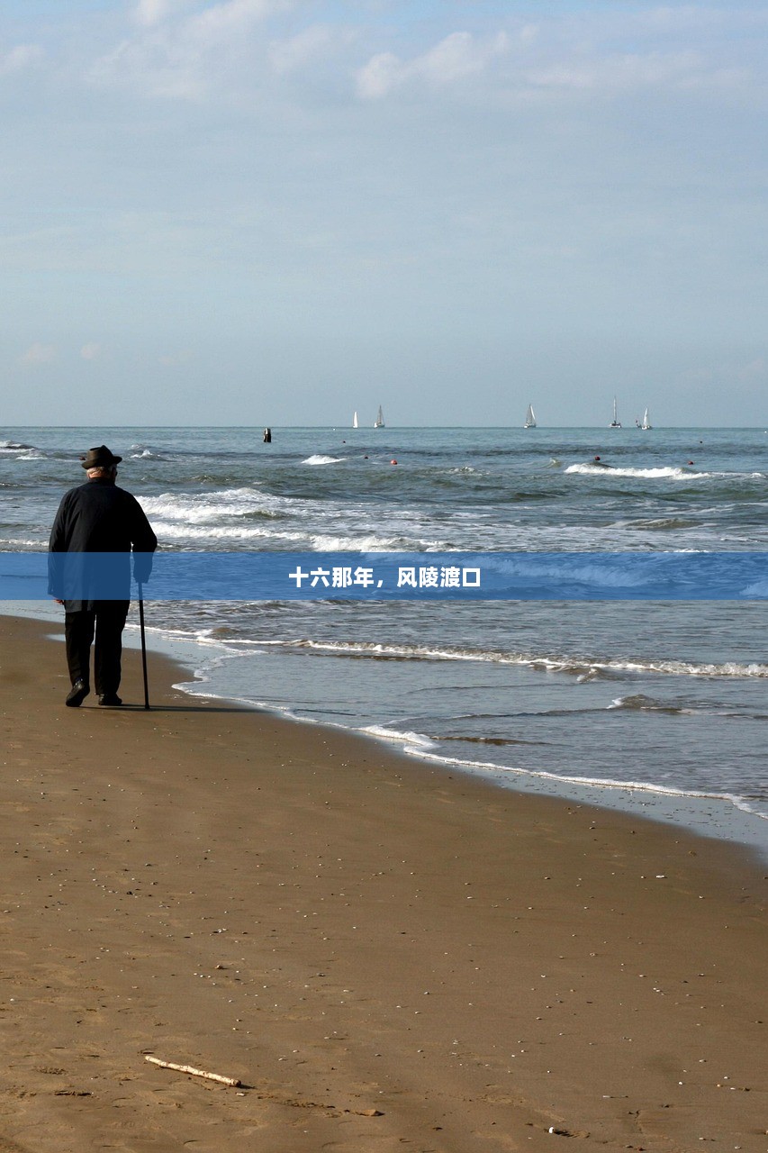 十六那年，风陵渡口