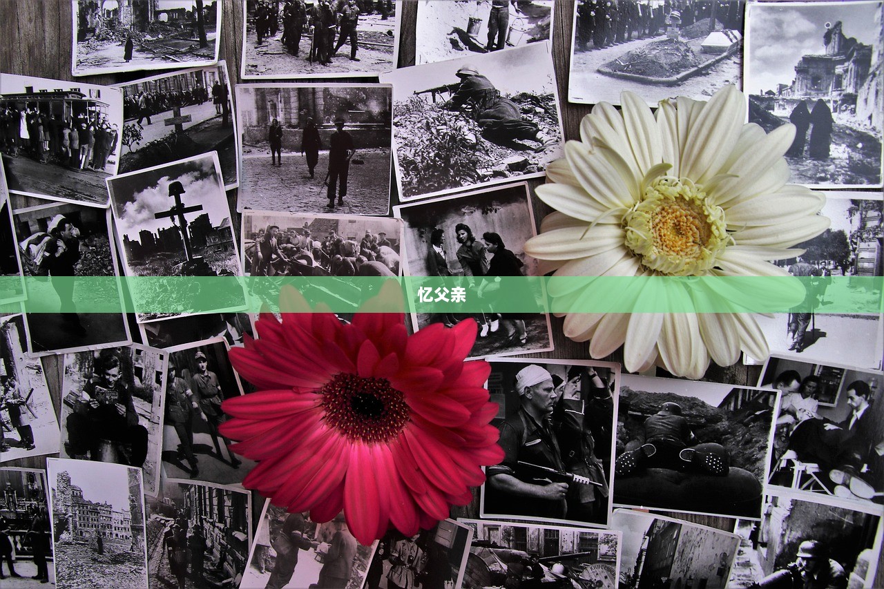 忆父亲