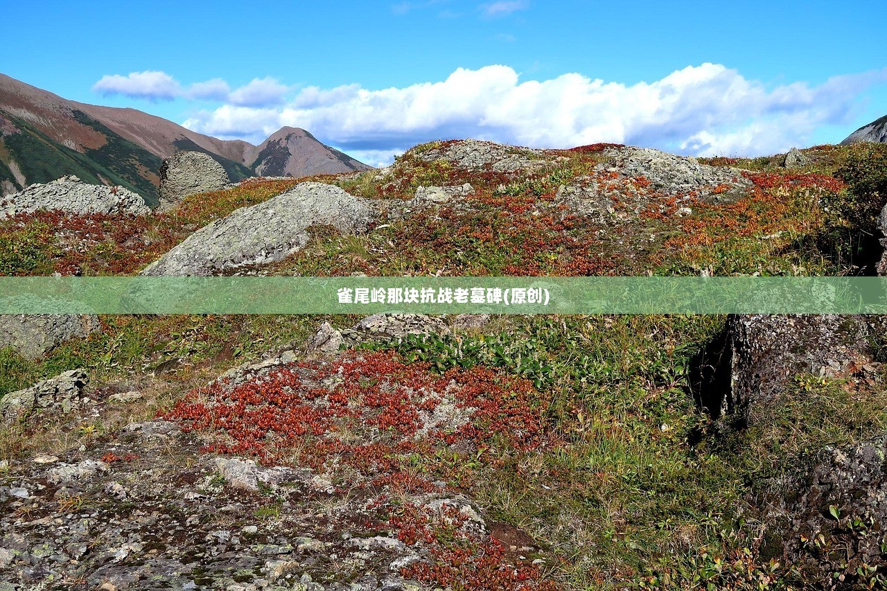 雀尾岭那块抗战老墓碑(原创)