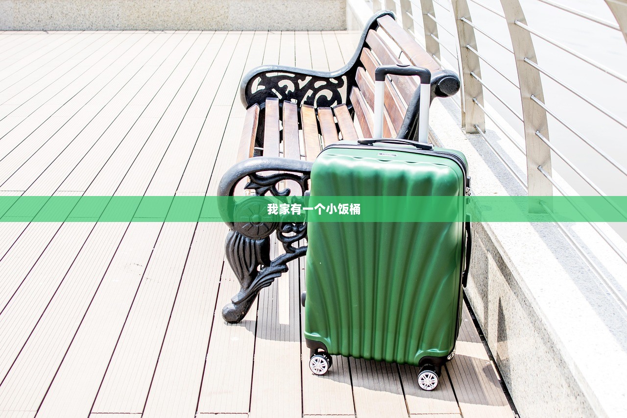 我家有一个小饭桶