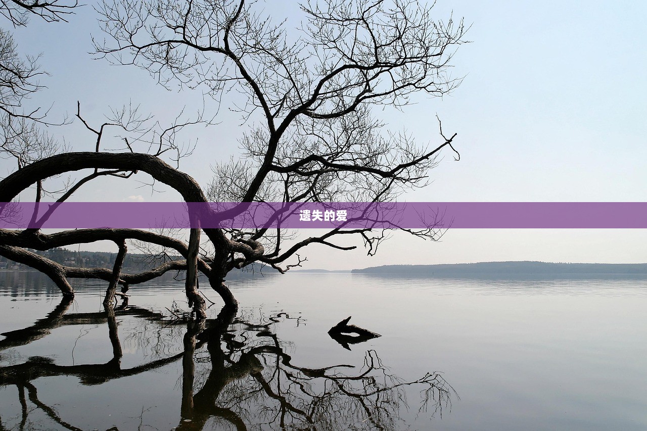 遗失的爱