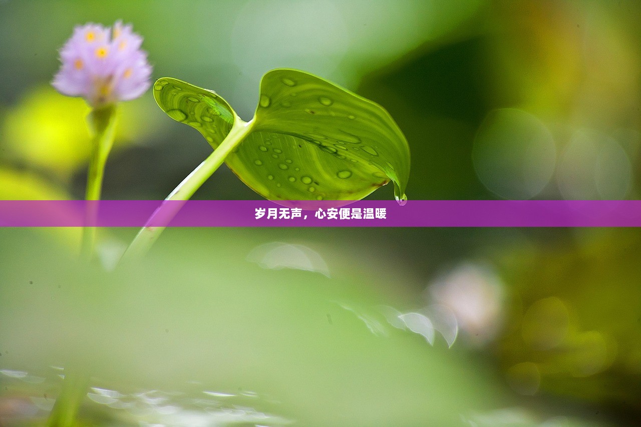 岁月无声，心安便是温暖
