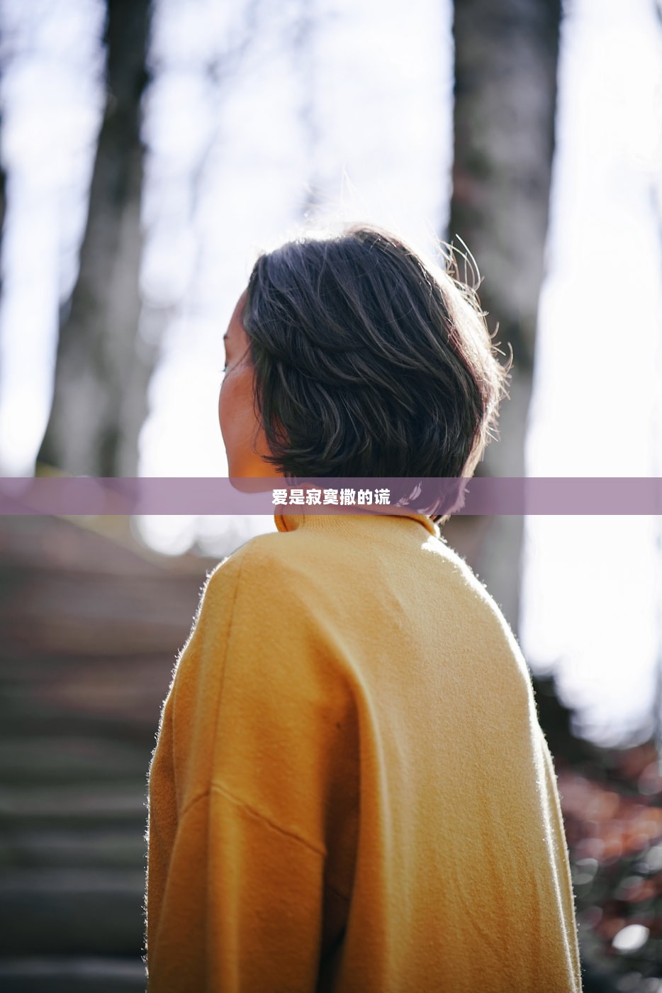 爱是寂寞撒的谎