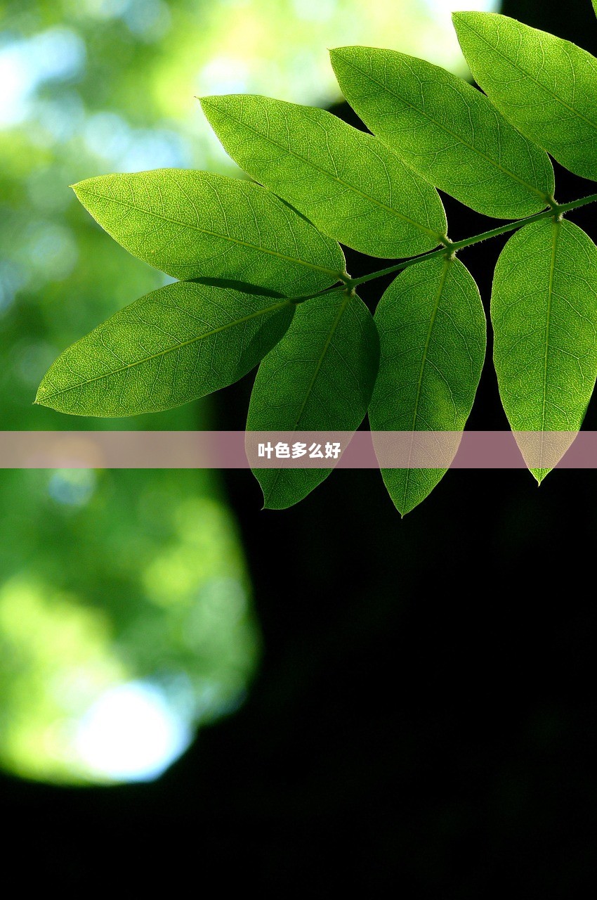 叶色多么好