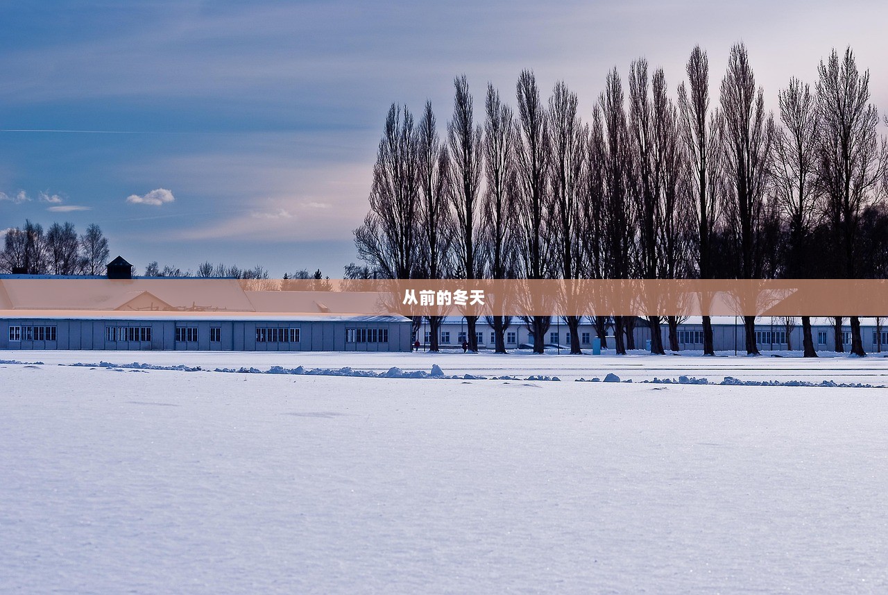 从前的冬天