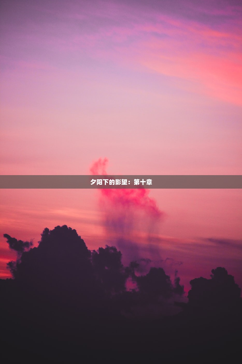 夕阳下的影望：第十章