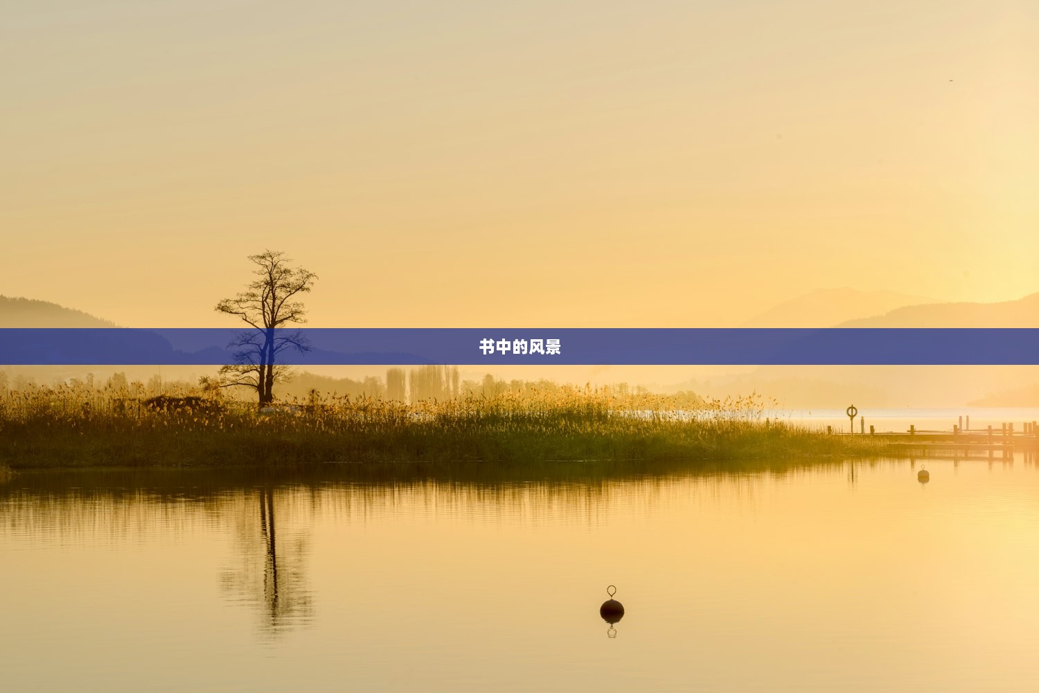书中的风景