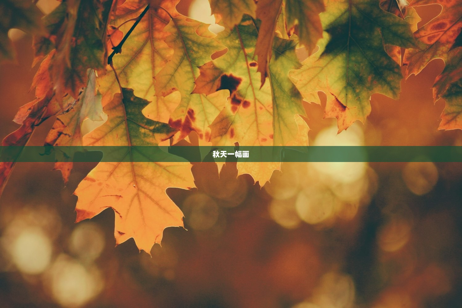 秋天一幅画