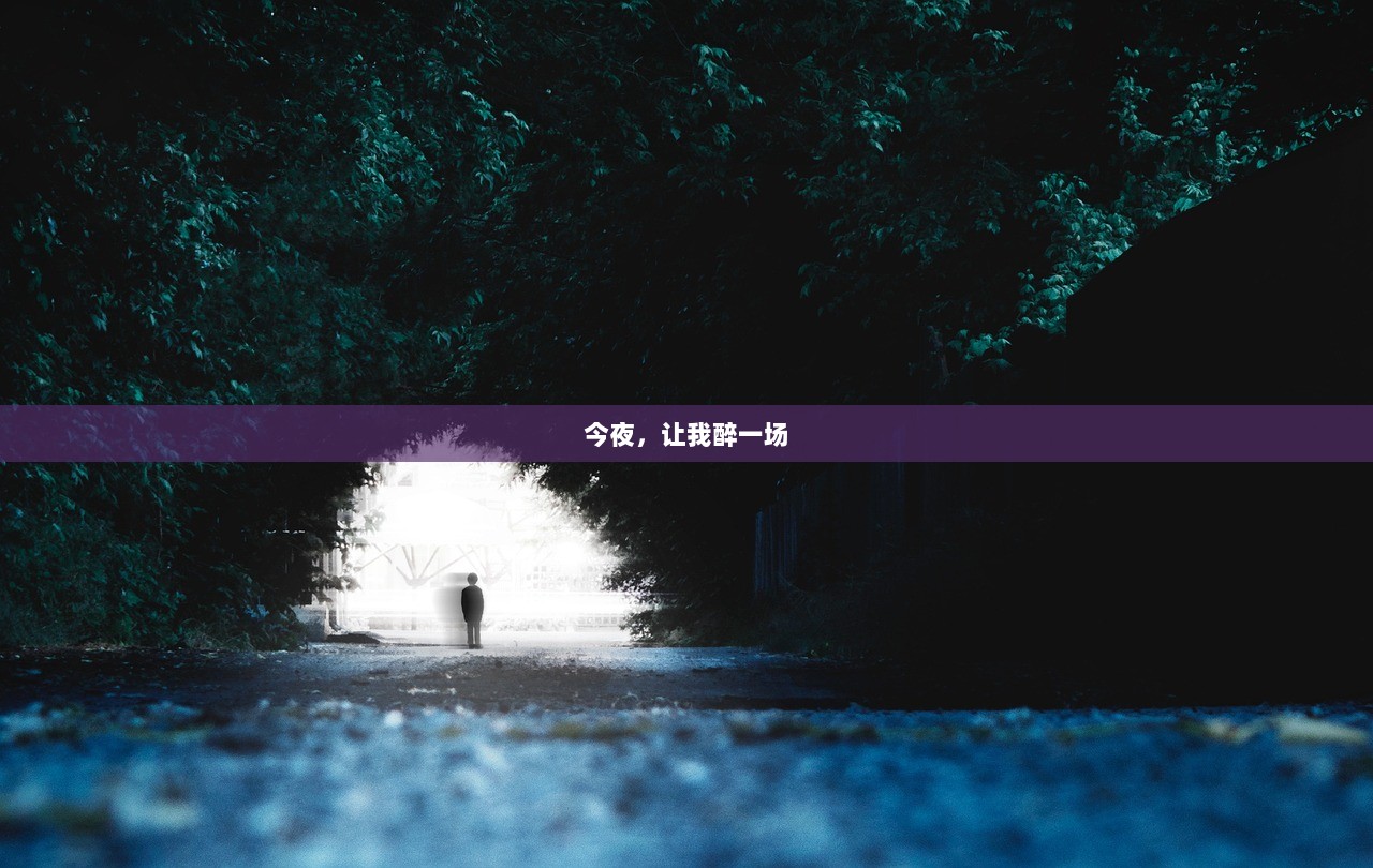 今夜，让我醉一场