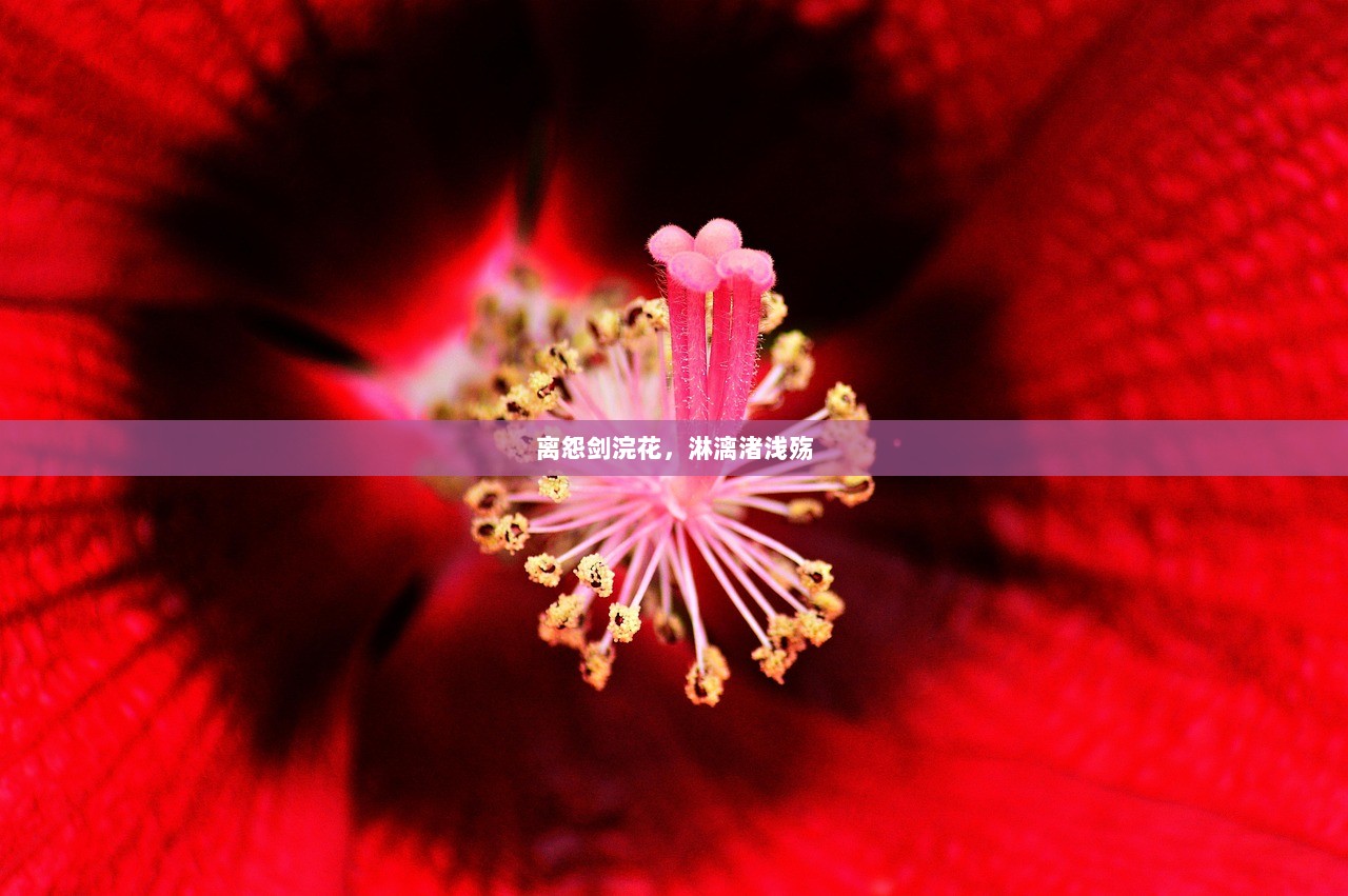 离怨剑浣花，淋漓渚浅殇