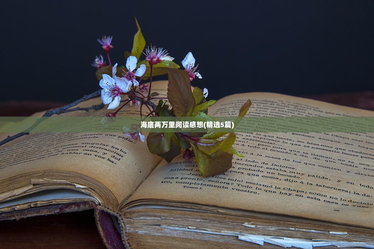 海底两万里阅读感想(精选5篇)