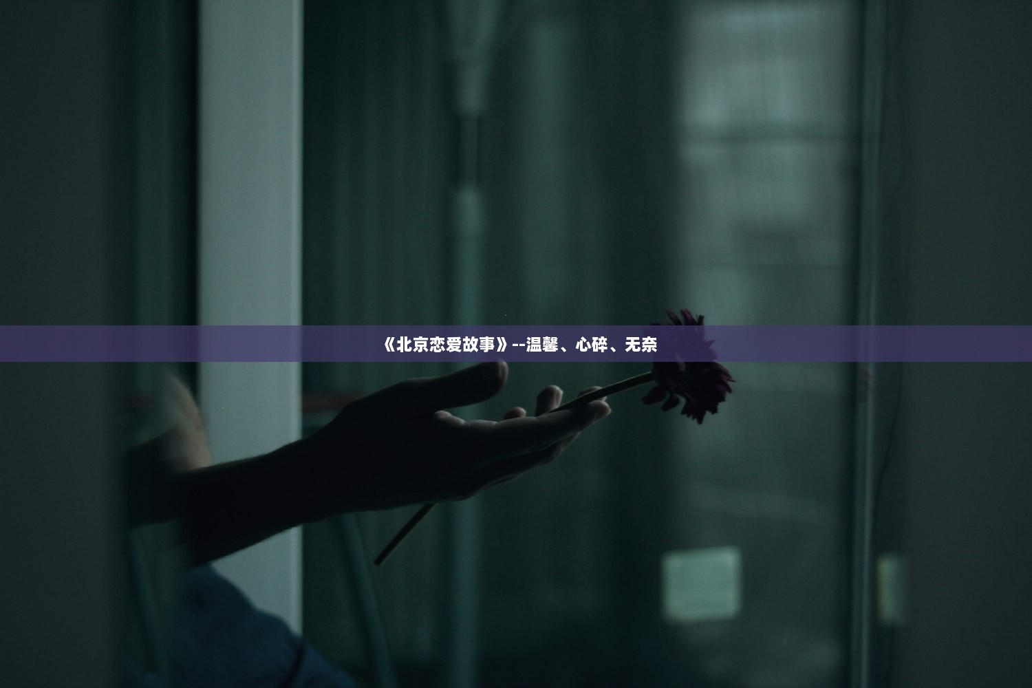 《北京恋爱故事》--温馨、心碎、无奈