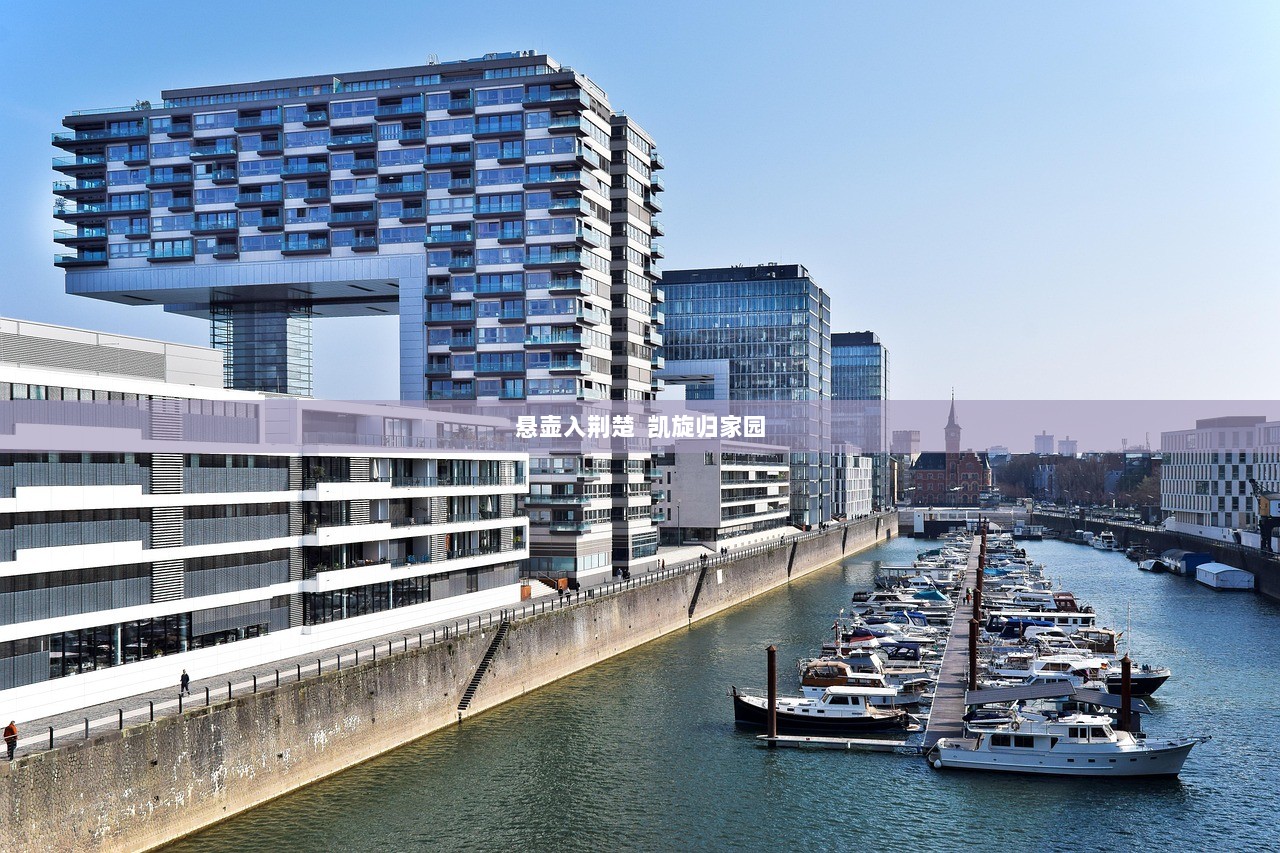 悬壶入荆楚  凯旋归家园