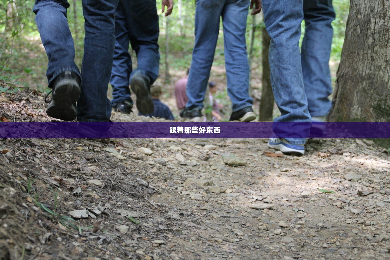 跟着那些好东西