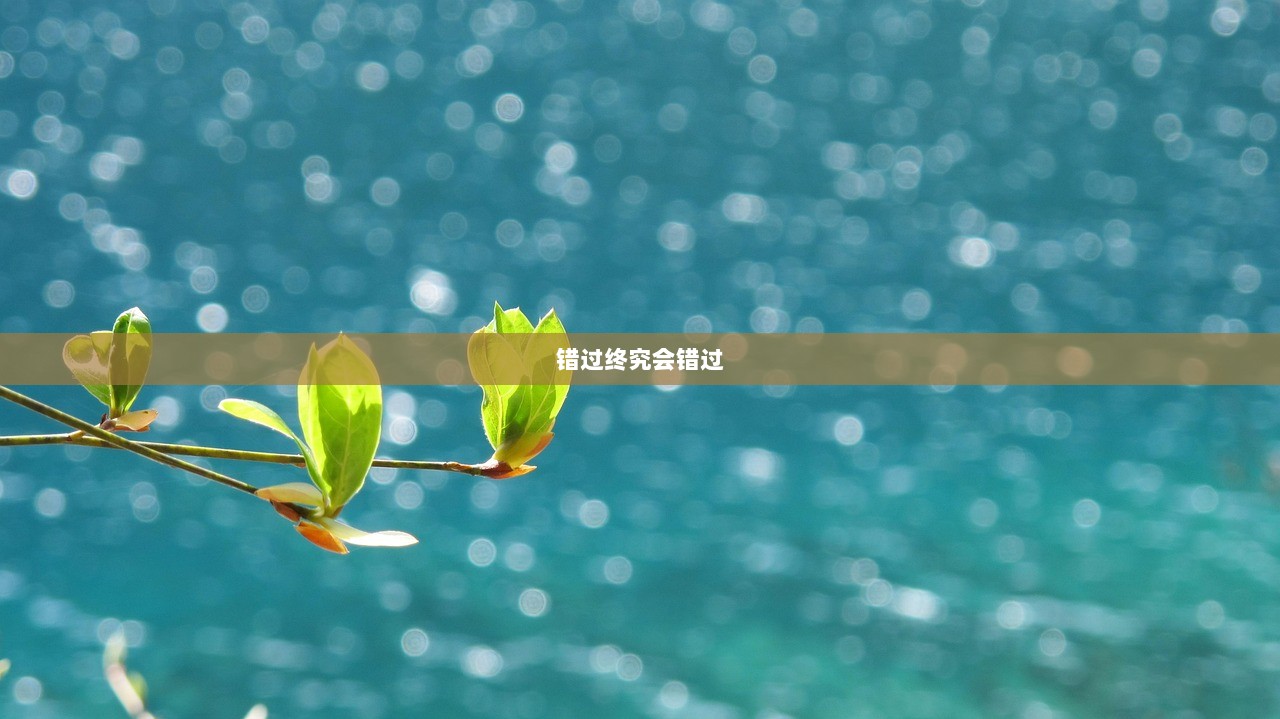 错过终究会错过